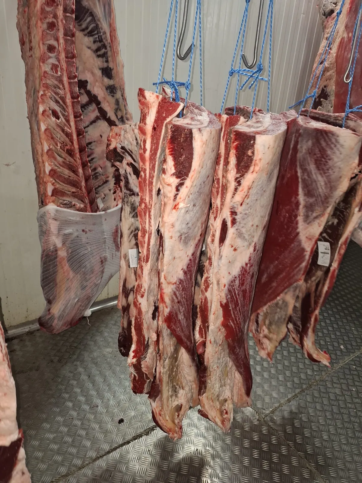 Demi-carcasses bovines suspendues en chambre froide